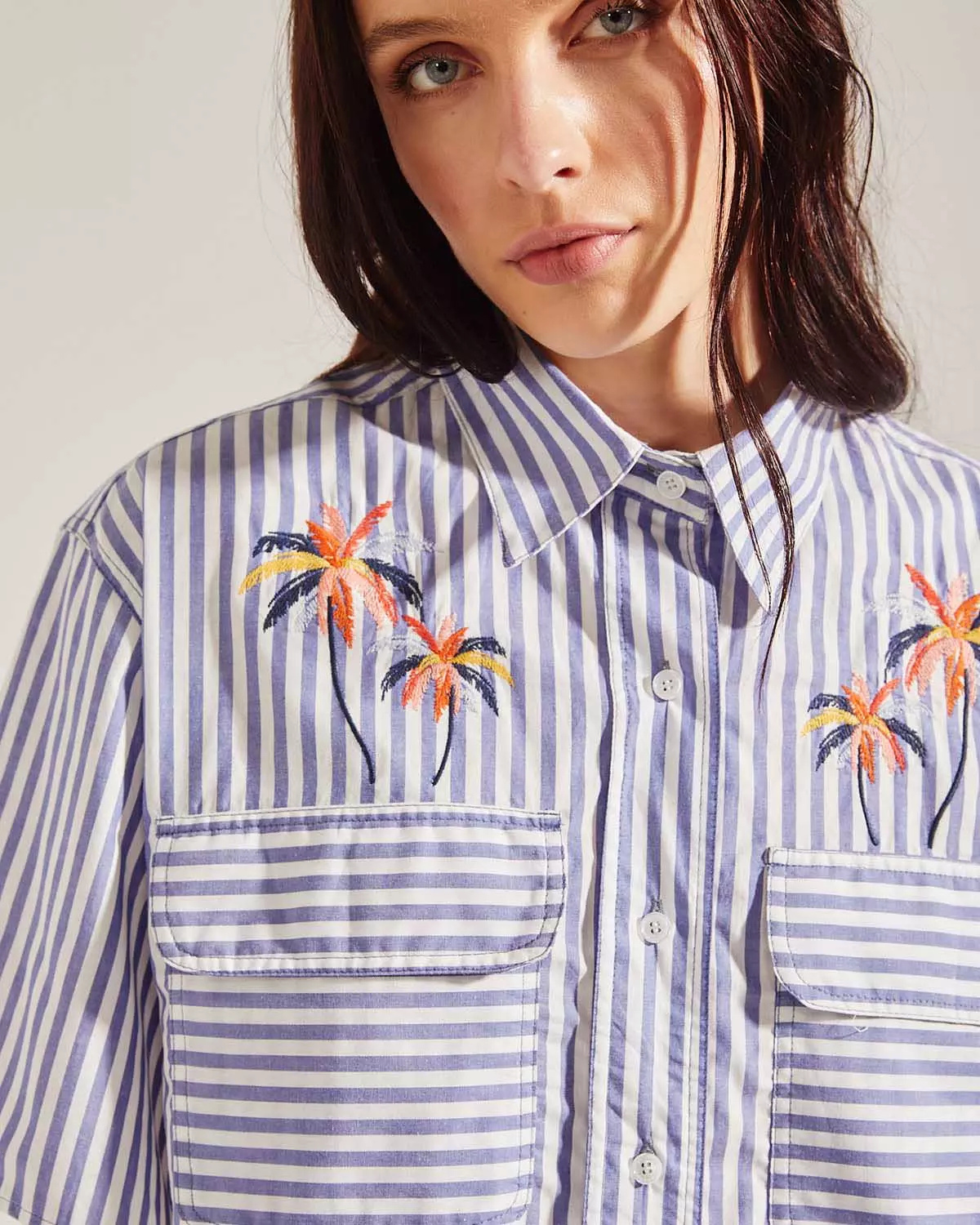 Camisas