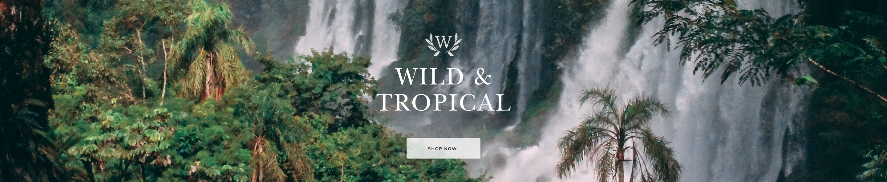 Top banner web 01  7 
