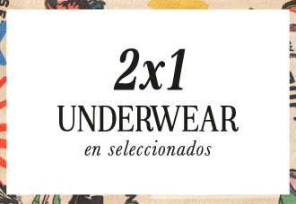 2x1 underwear