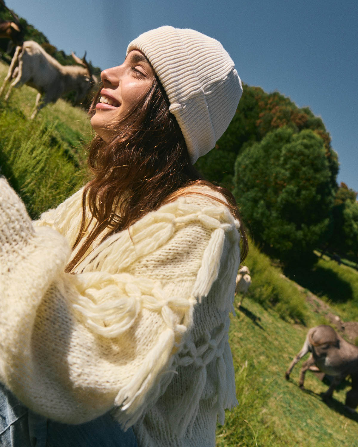 Sweater Yosemite 