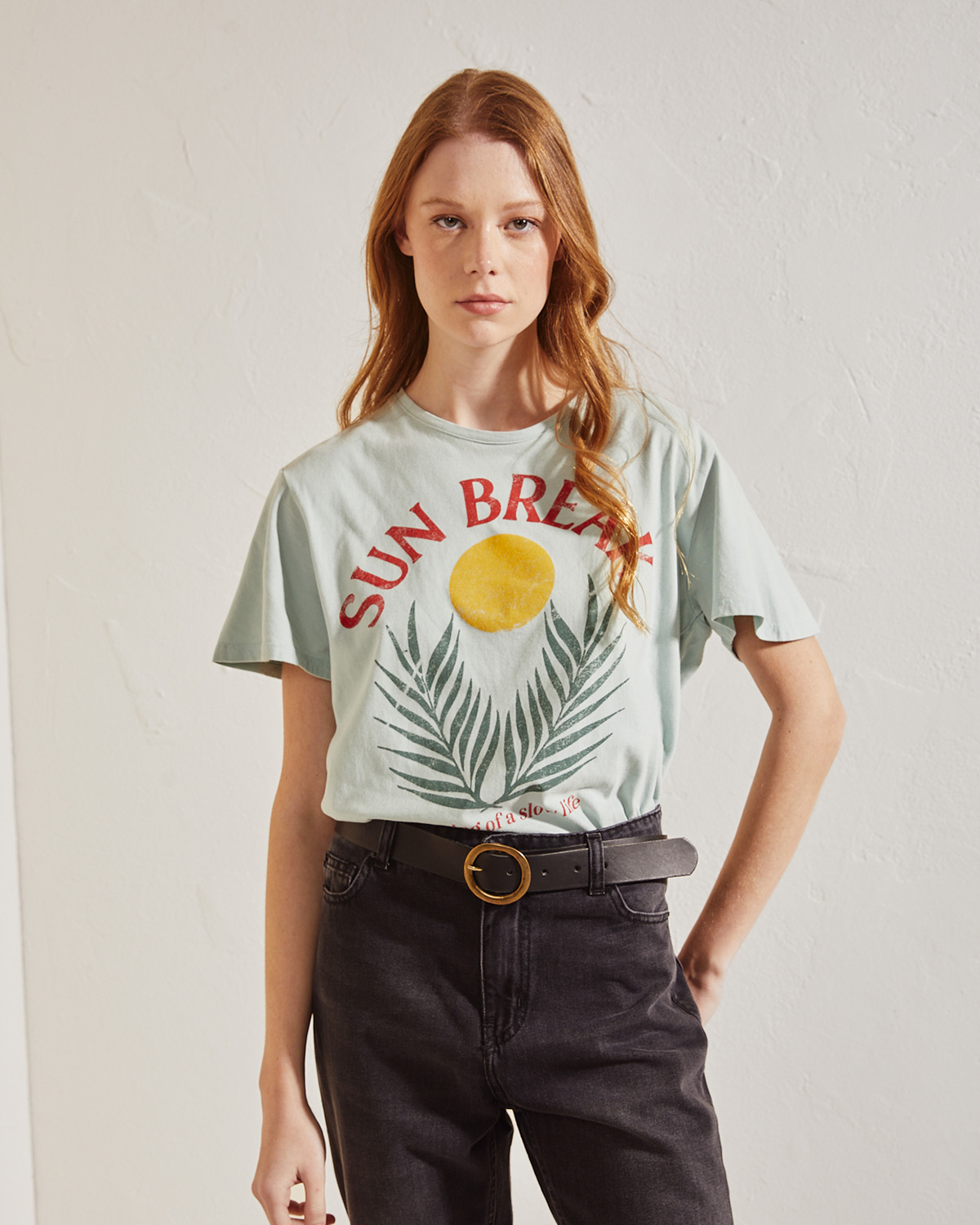 Remera Micson Spent IV